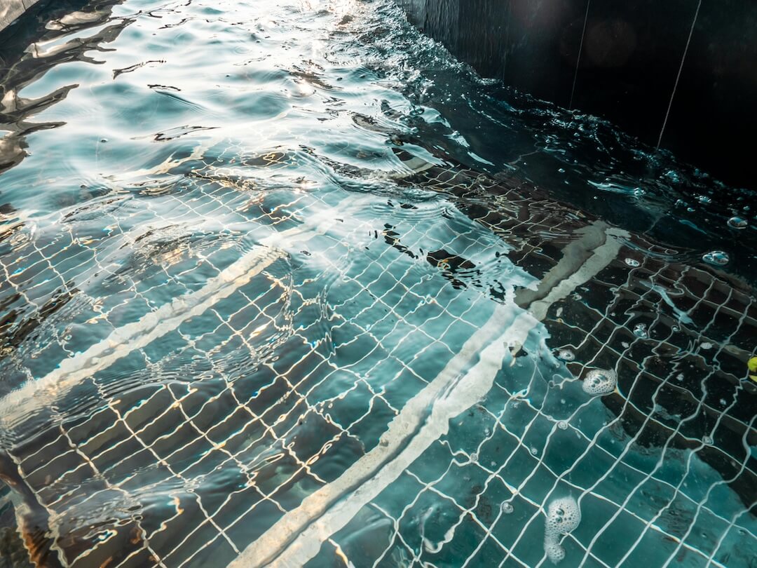 The Role of Our Specialists in Pool Sanitizing Image